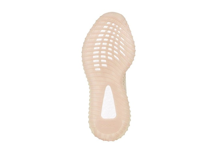 נעלי אדידס- ADIDAS -350 ECRU - LIGHT GRAY COMBO – תמונה 4